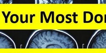 Quiz: What Is my Most Dominant Intelligence Trait?