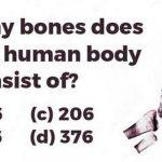 Quiz: 7% Of Men Passed This Basic Human Anatomy Test