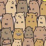 People Are Losing It Trying To Find The Potato In This Herd Of Hamsters!