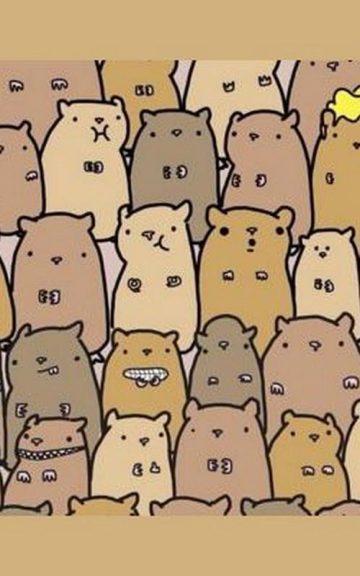 People Are Losing It Trying To Find The Potato In This Herd Of Hamsters!