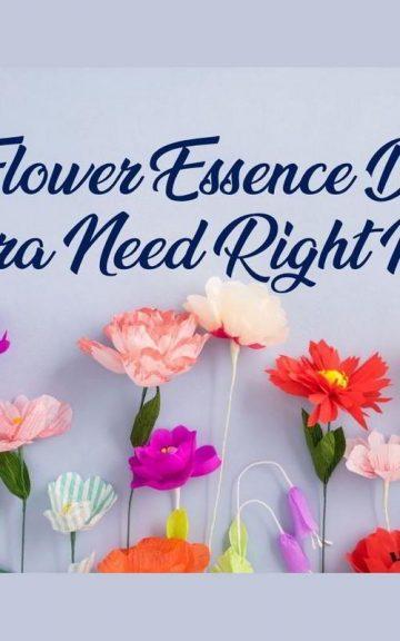 Quiz: Which Flower Essence Does my Aura Need Right Now?