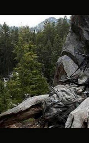 95% Of People Can't Spot These Soldiers In Full Camouflage - Can You?