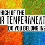 Quiz: Which Of The "Four Temperaments" Do I Belong In?