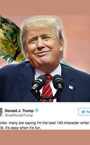 Quiz: Guess If These Donald Trump Tweets Are Real Or Fake