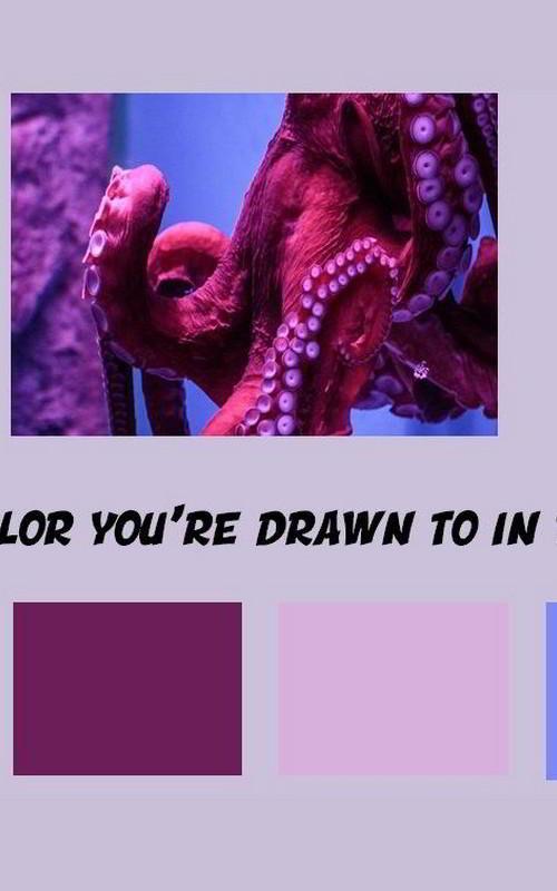 Discover Your Inner Psychic: Unveiling Your True Colors