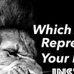 Quiz: Which Animal Represents my Primary Instincts?