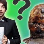 Quiz: Alex Gaskarth's Eyebrow Or An Actual Beaver?