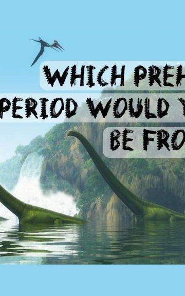 Quiz: Which Prehistoric Period Would I Be From?