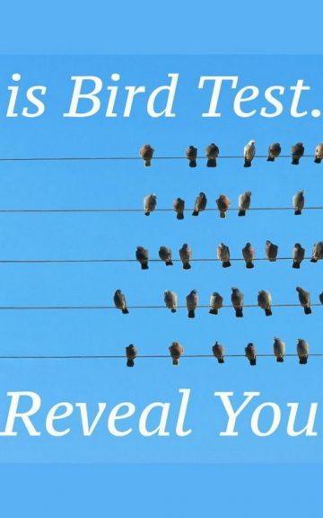 Quiz: The Bird Test Will Reveal Your True Age
