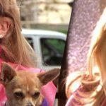 Quiz: Do you remember the Legally Blonde movies?
