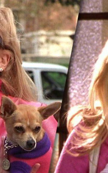 Quiz: Do you remember the Legally Blonde movies?