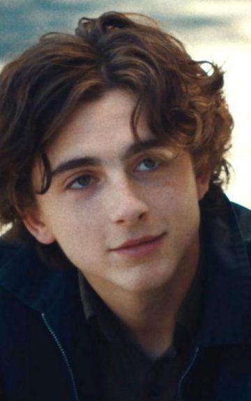 Quiz: We'll Reveal Which Timothee Chalamet Character You Will Marry When You Get Older