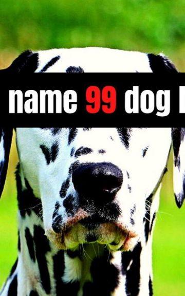 Quiz: Name 99 Dog Breeds