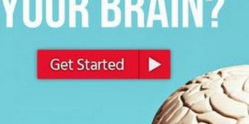 Quiz: How Elastic Is Your Brain?