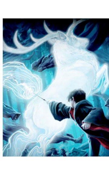 Quiz: Select Your Favorite Fantastic Beasts And We'll reveal You Your Winter Patronus