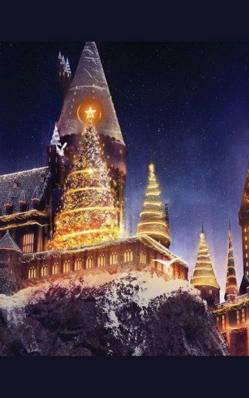 Quiz: Spend Christmas At Hogwarts And We'll Sort You Into A Hogwarts House