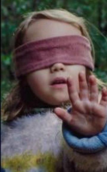 Quiz: Which Bird Box character am I?