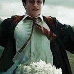 10 shocking details you missed in the Harry Potter movies