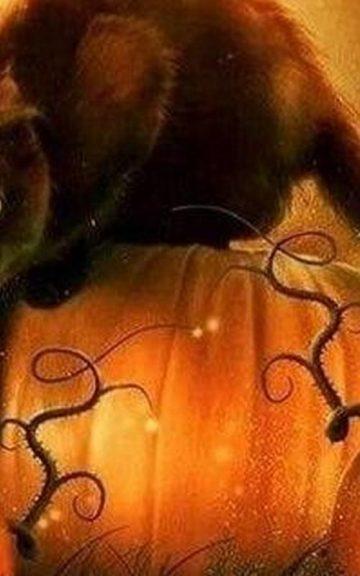 Quiz: Which Halloween Creature Is my Spirit Animal?