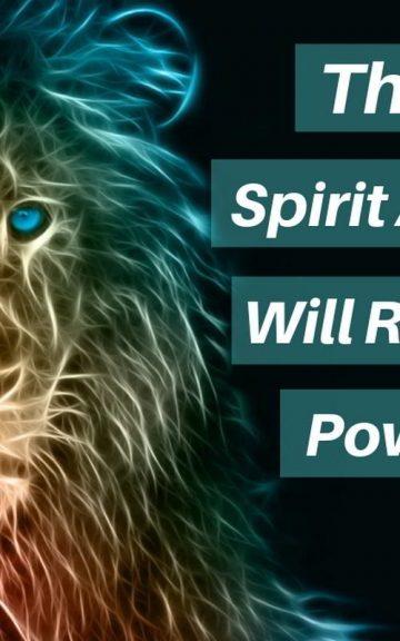 Quiz: We'll Reveal Your Power Number with this Spirit Animal Test