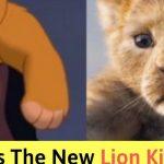 9 Ways The New Lion King Movie Is Going To Be Different From The Original
