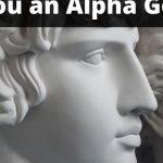 Quiz: This Knowledge Test Was Created For Alpha Geeks