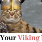 Quiz: We'll Give You Your Viking Name