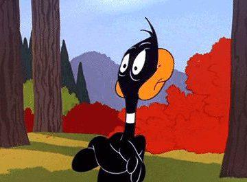 Quiz: 10 True Or False Questions About Daffy Duck That'll Make You Laugh Your Socks Off