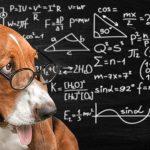 Quiz: Are You A Mental Math Genius Solve These Difficult Math Problems