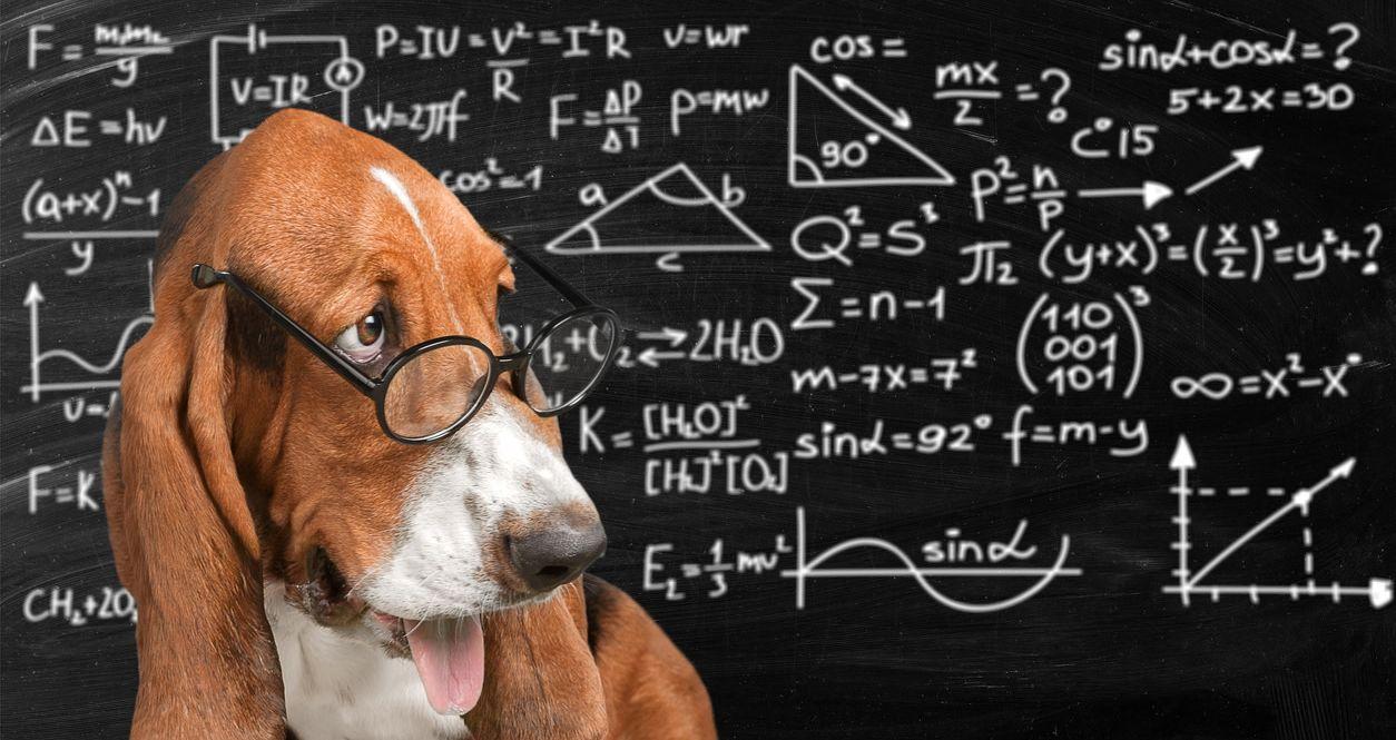 Quiz: Are You A Mental Math Genius Solve These Difficult Math Problems