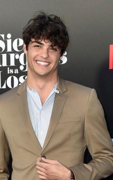 Quiz: Which Noah Centineo character is my future boyfriend?