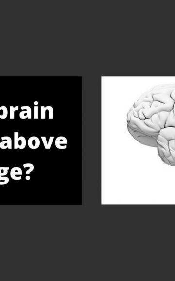 Quiz: You can pass This Knowledge Quiz If Your Brain Capacity Is Above Average