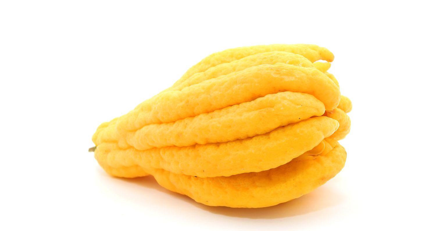 Quiz: Identify These Citrus Fruits