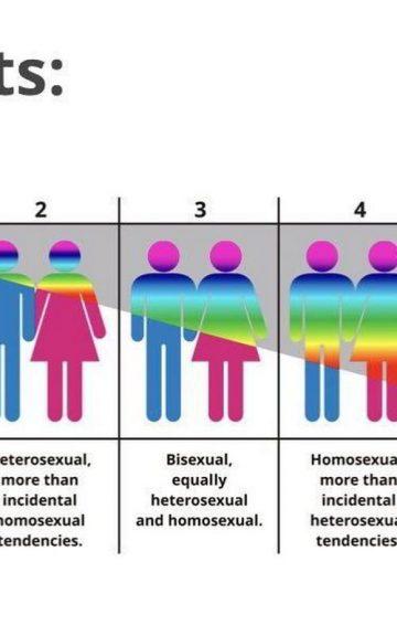 Quiz: Where are You On The Kinsey Scale Of Gay To Straight?