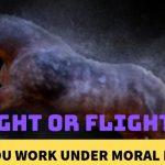 Quiz: Fight Or Flight?