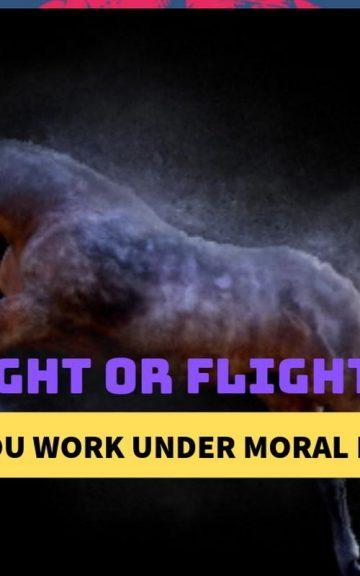 Quiz: Fight Or Flight?