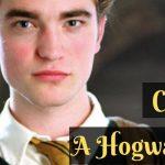 Quiz: Can You Be A Hogwarts Prefect?