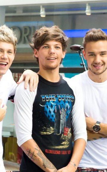 Quiz: Which of two One Direction members are you?