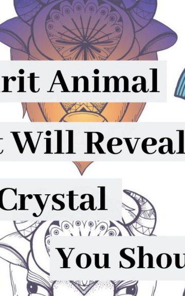 Quiz: We'll Reveal Which Crystal You Should Wear with this Spirit Animal Test