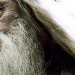 Quiz: Complete Dumbledore's Top 20 Sayings