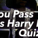 Quiz: Pass This Truly Difficult Harry Potter Quiz