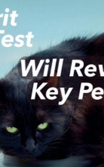 Quiz: We'll Reveal Your Key Personality Trait with this Spirit Animal Test