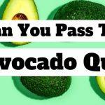 Quiz: Pass This Avocado Quiz