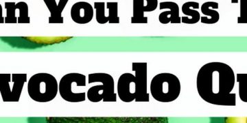 Quiz: Pass This Avocado Quiz