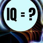 Quiz: Nobody Can Get A Perfect Score In This IQ Test
