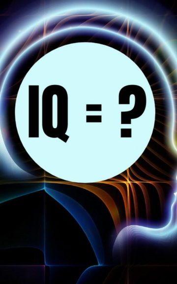 Quiz: Nobody Can Get A Perfect Score In This IQ Test