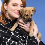 These Celebs Adopted Dogs And They're So Cute!