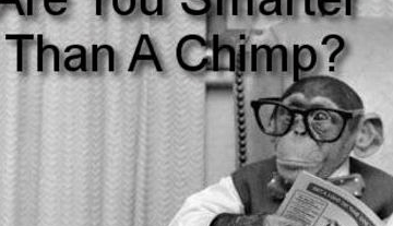 Quiz: Are You Smarter Than A Chimp