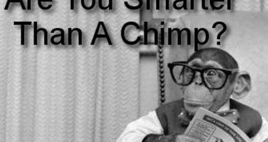 Quiz: Are You Smarter Than A Chimp