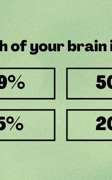 Quiz: Majority of Adults Won't Pass This Kids Fact Quiz